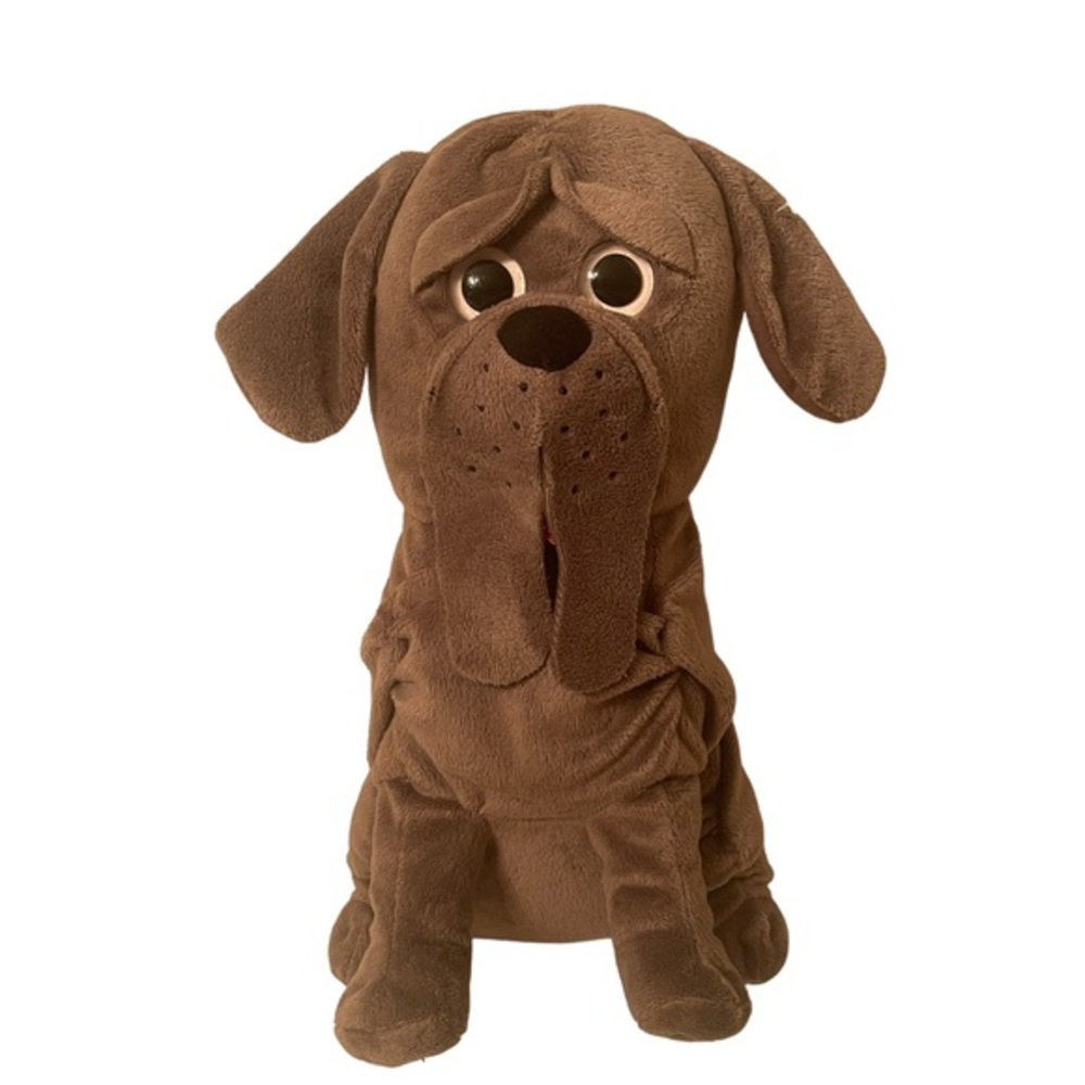 Harry Potter Dog  NWOT